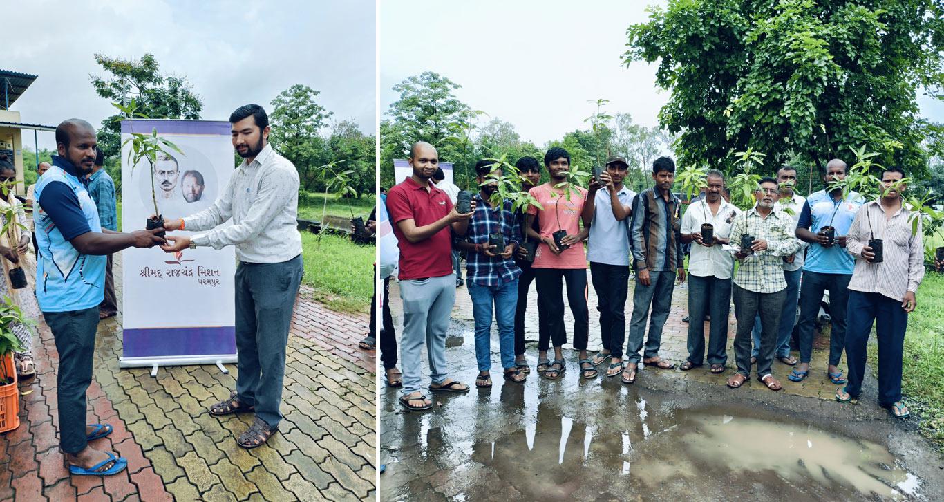 Empowering Farmers through Mango Grafting Training